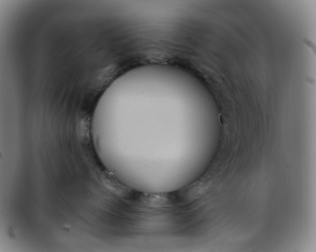 X0000097480768200803071716