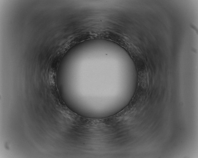 X0000097480770200803071716