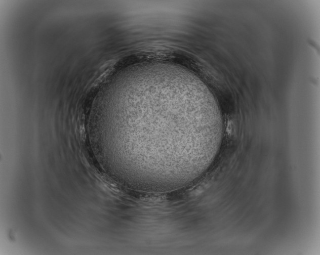 X0000097480771200803071716