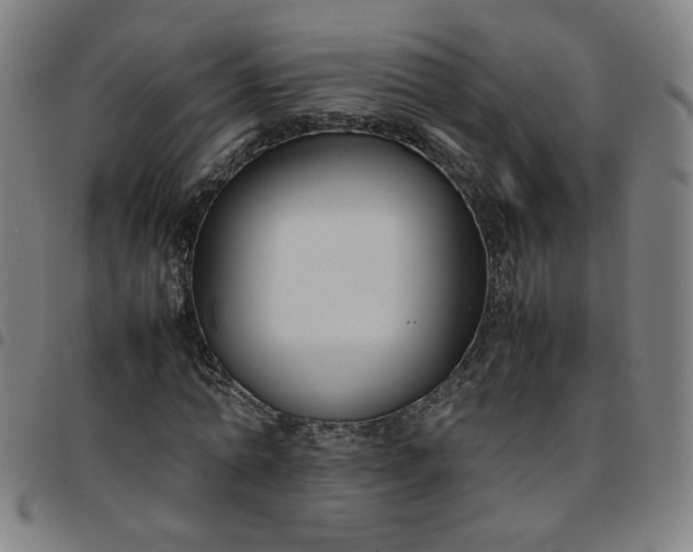 X0000097480774200803071715