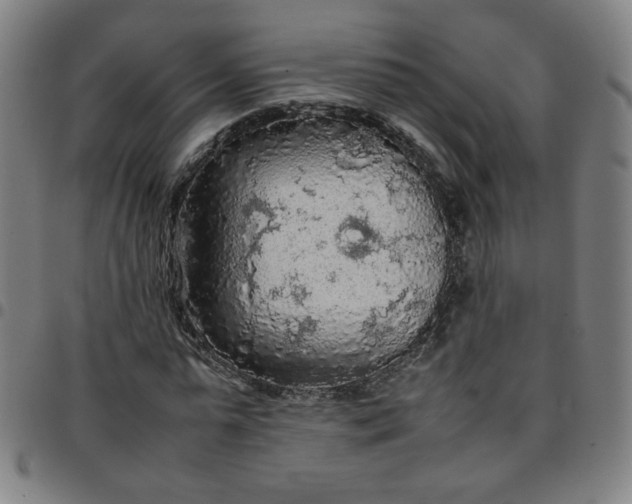 X0000097480775200803071715