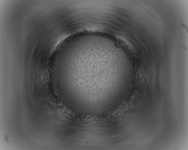 X0000097480776200803071715