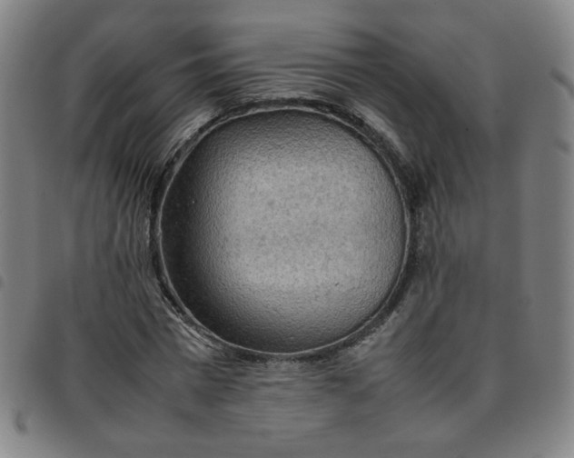 X0000097480777200803071715