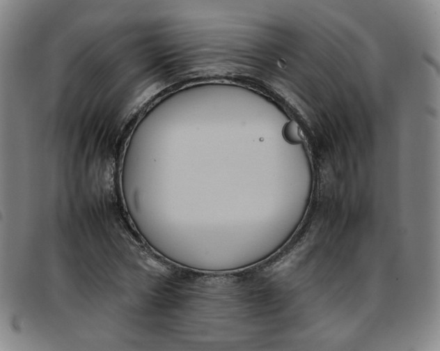 X0000097480778200803071715