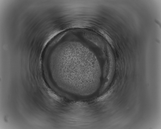 X0000097480779200803071715