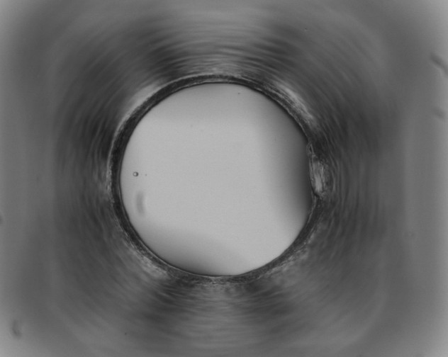 X0000097480780200803071715