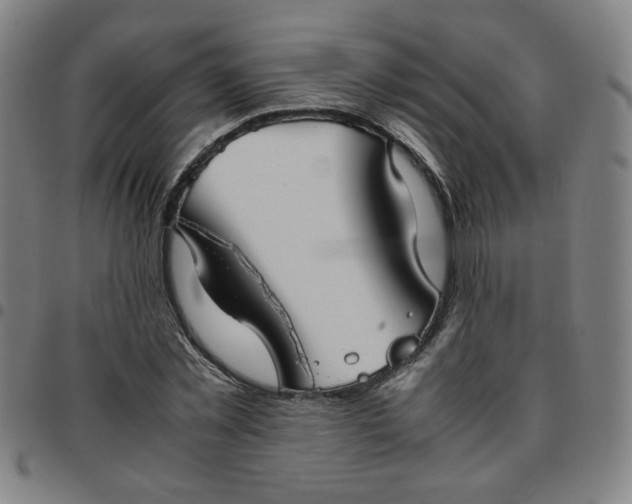 X0000097480781200803071715