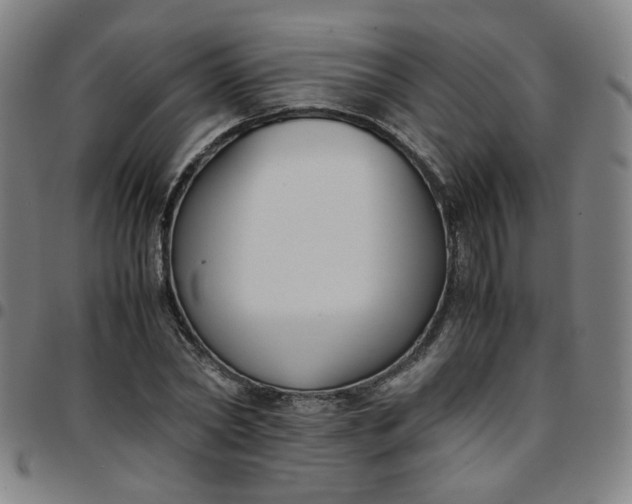 X0000097480782200803071715