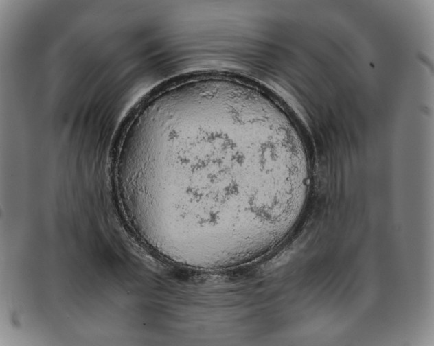 X0000097480783200803071715