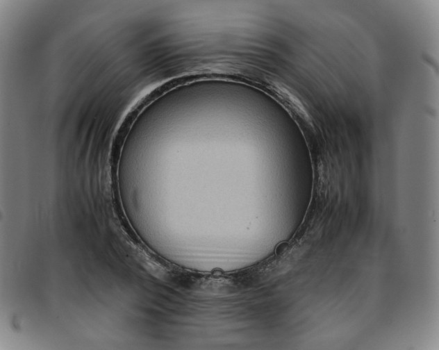 X0000097480784200803071715