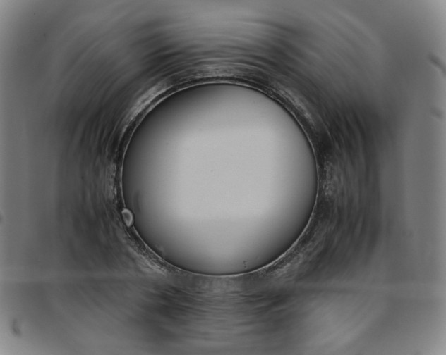 X0000097480786200803071715