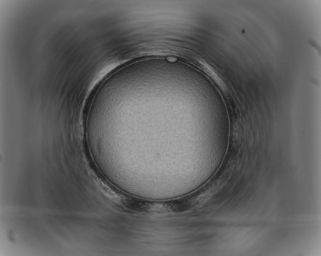 X0000097480787200803071715