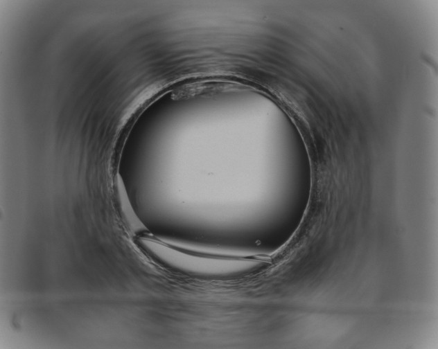 X0000097480789200803071715