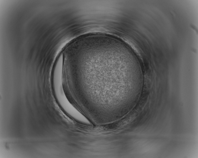 X0000097480791200803071715