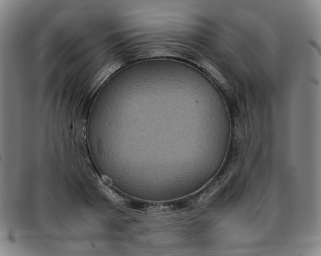 X0000097480793200803071715