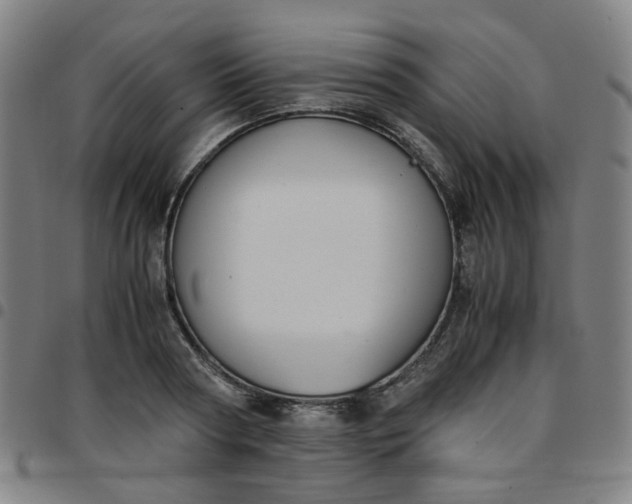 X0000097480794200803071715