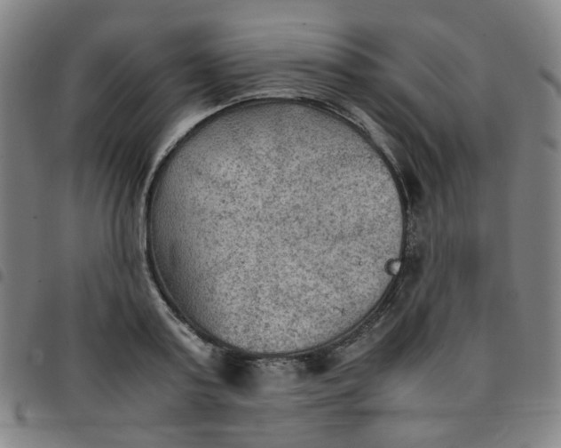 X0000097480795200803071715