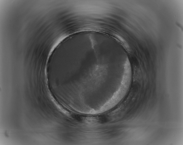 X0000097480796200803071715