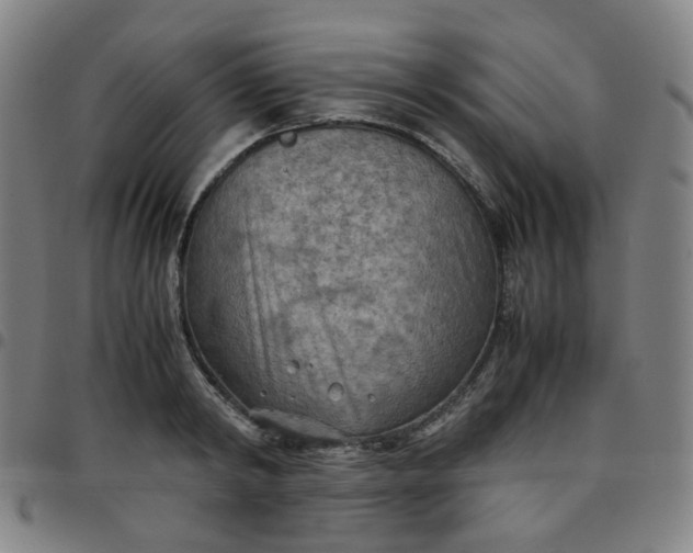 X0000097480798200803071715