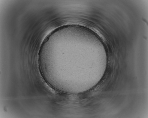 X0000097480799200803071715