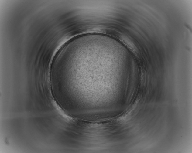 X0000097480800200803071715