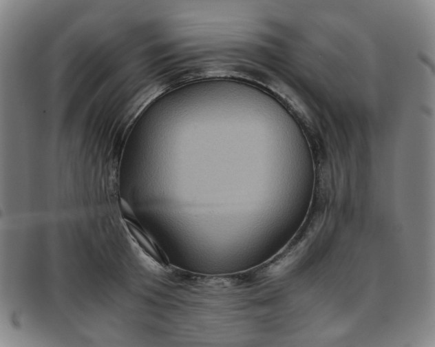 X0000097480801200803071715