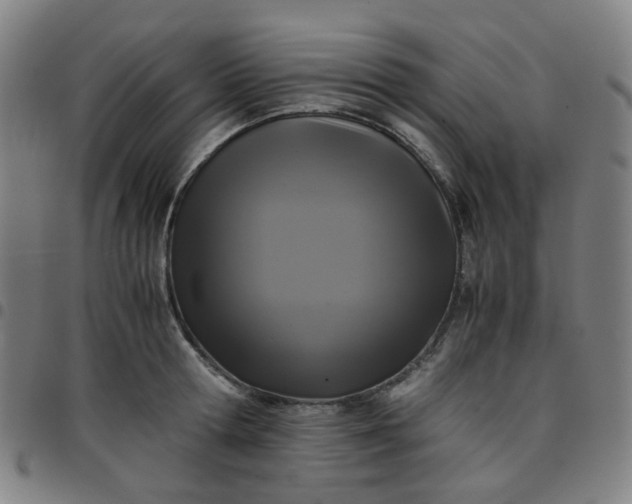 X0000097480802200803071715