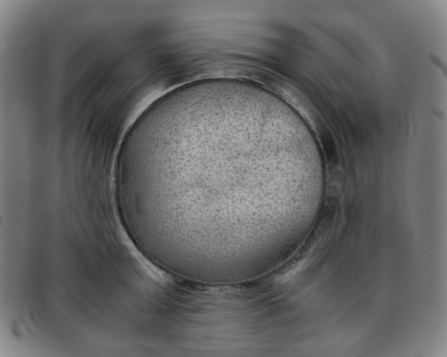 X0000097480803200803071715