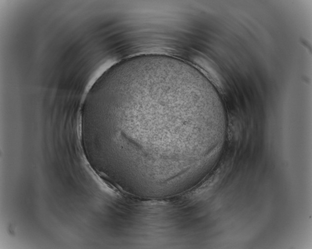 X0000097480804200803071715