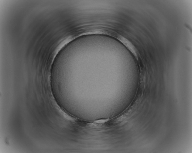 X0000097480805200803071715