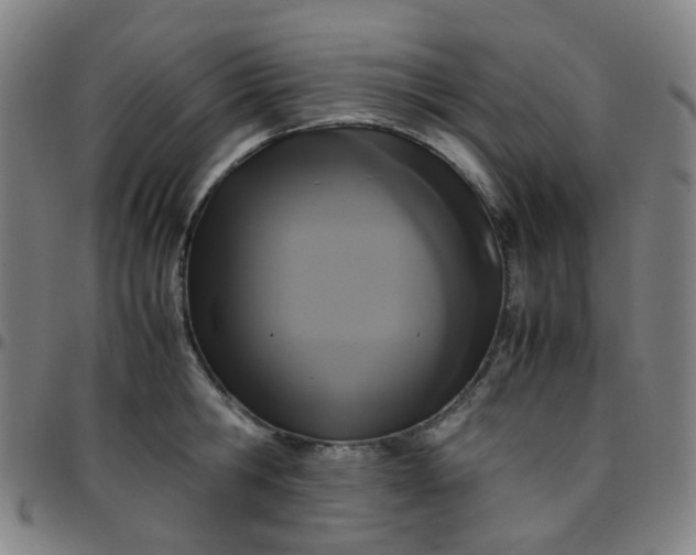 X0000097480806200803071715