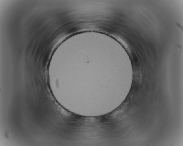 X0000097480807200803071715