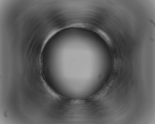 X0000097480808200803071715