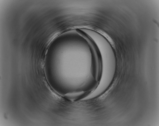 X0000097480809200803071715