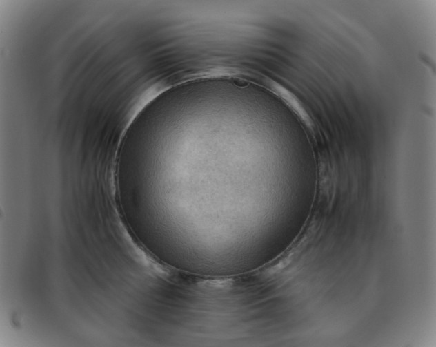 X0000097480810200803071715