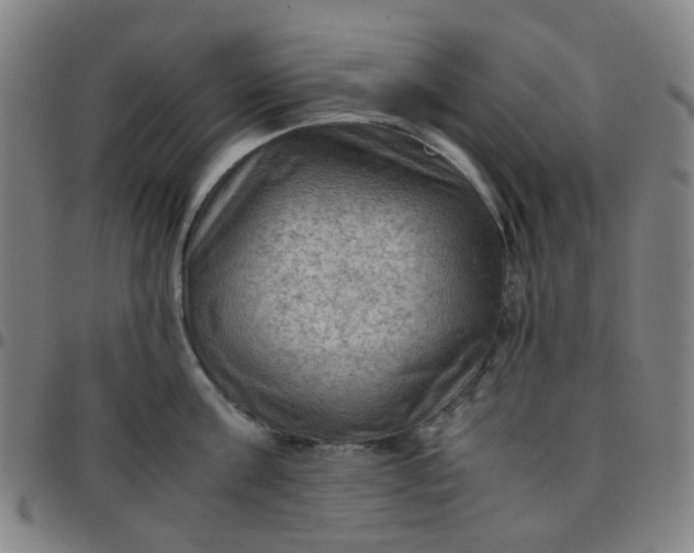 X0000097480811200803071715