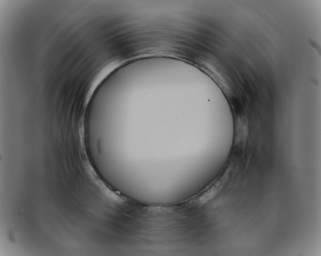 X0000097480812200803071715