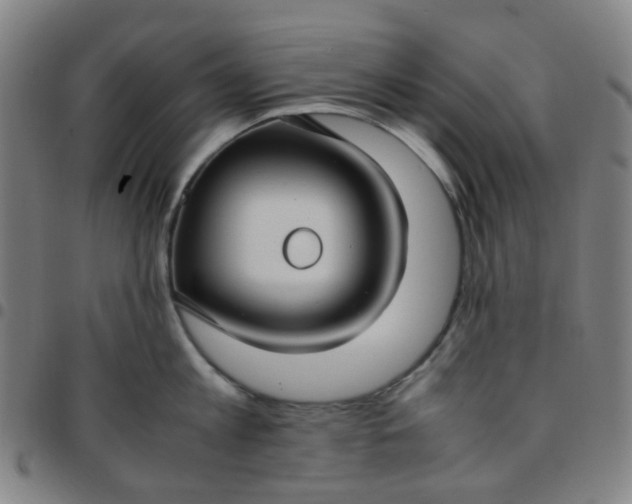 X0000097480813200803071715