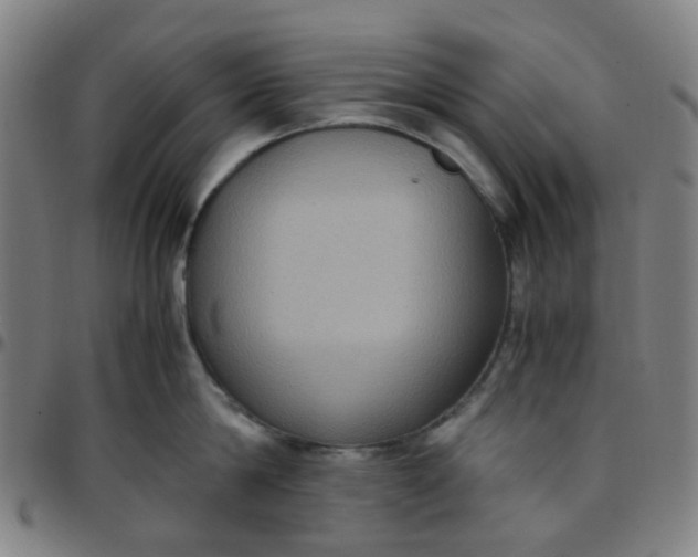 X0000097480814200803071715