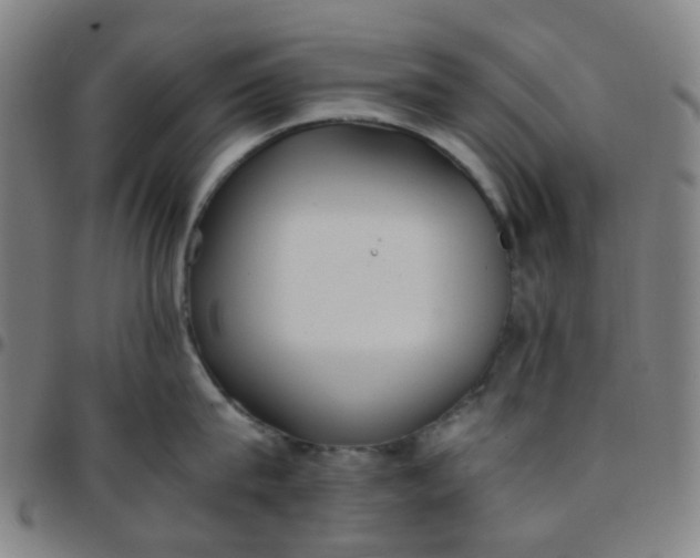 X0000097480815200803071715