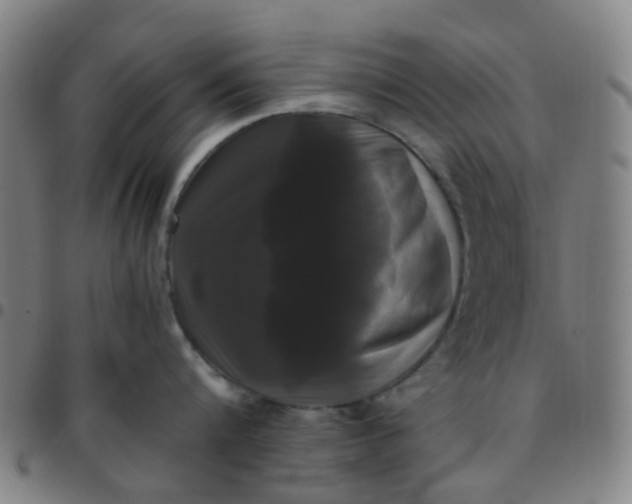 X0000097480816200803071715