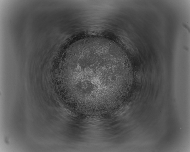 X0000097480817200803071714