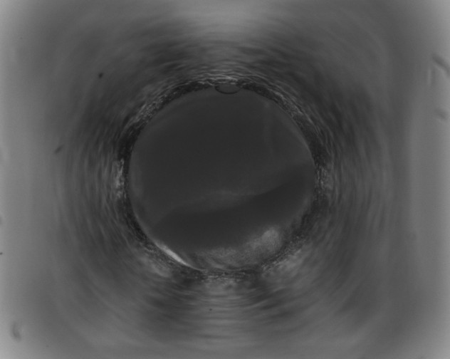 X0000097480818200803071714