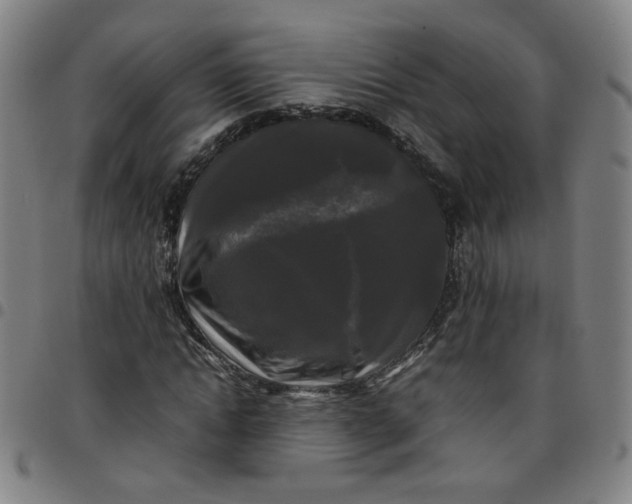 X0000097480822200803071714