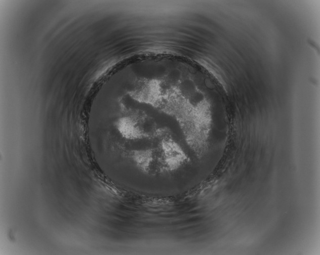 X0000097480823200803071714