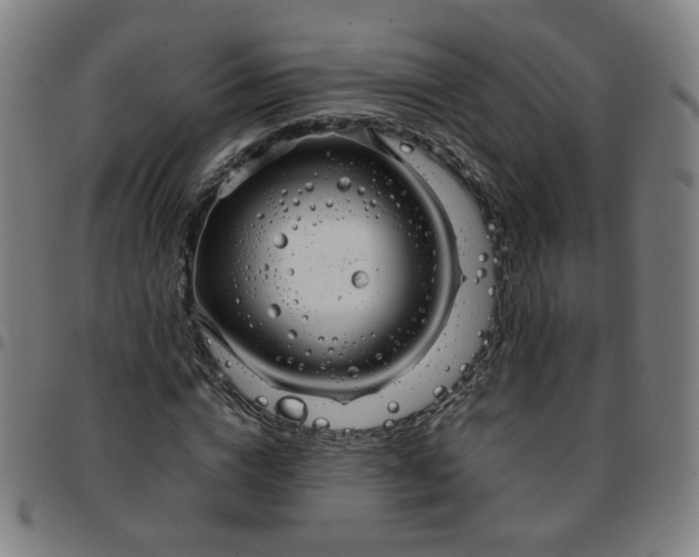 X0000097480824200803071714