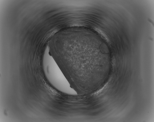 X0000097480825200803071714