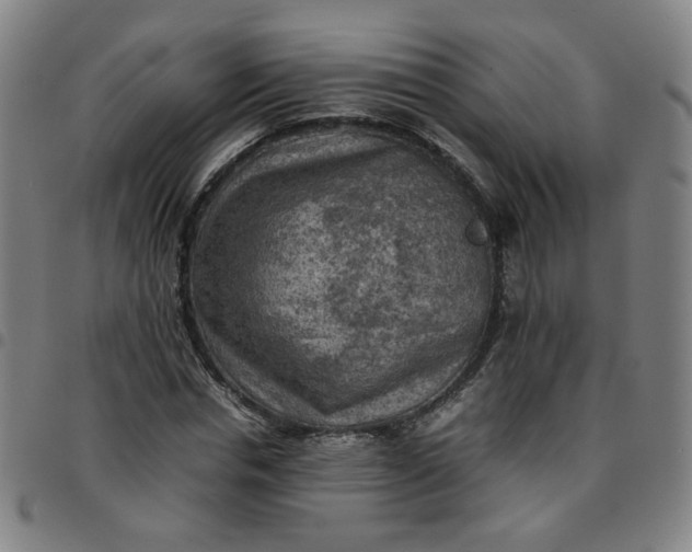 X0000097480826200803071714