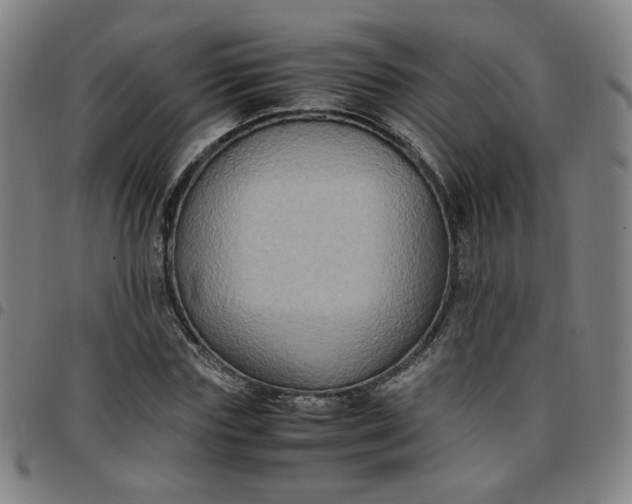 X0000097480827200803071714