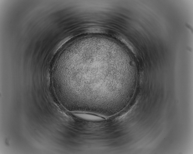 X0000097480829200803071714